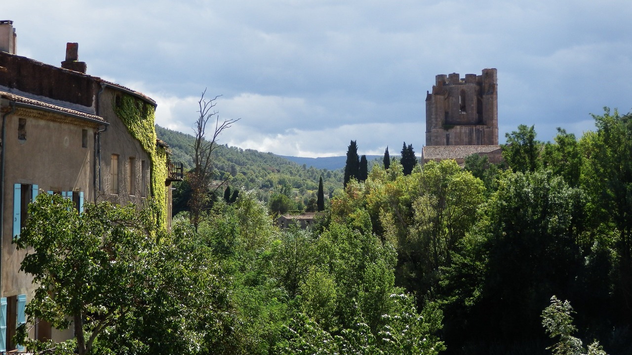 Photo of Others in Carcassonne