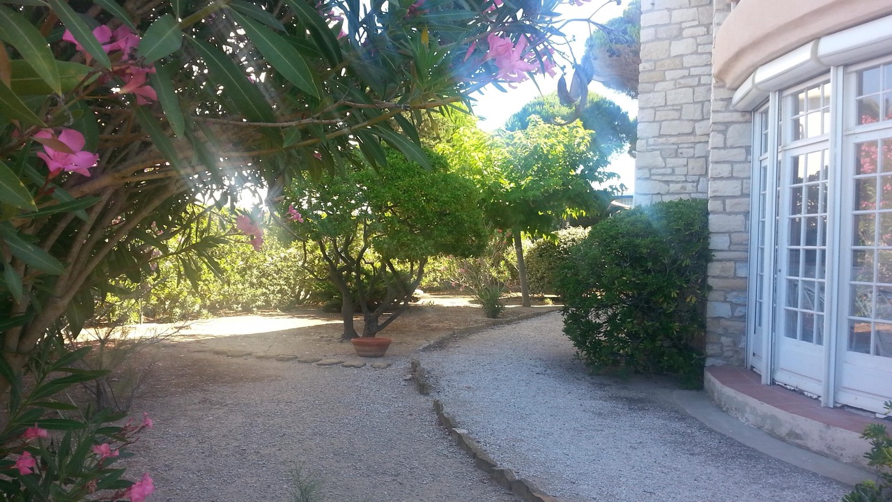Photo of Outdoor in Saint-Cyr-sur-Mer