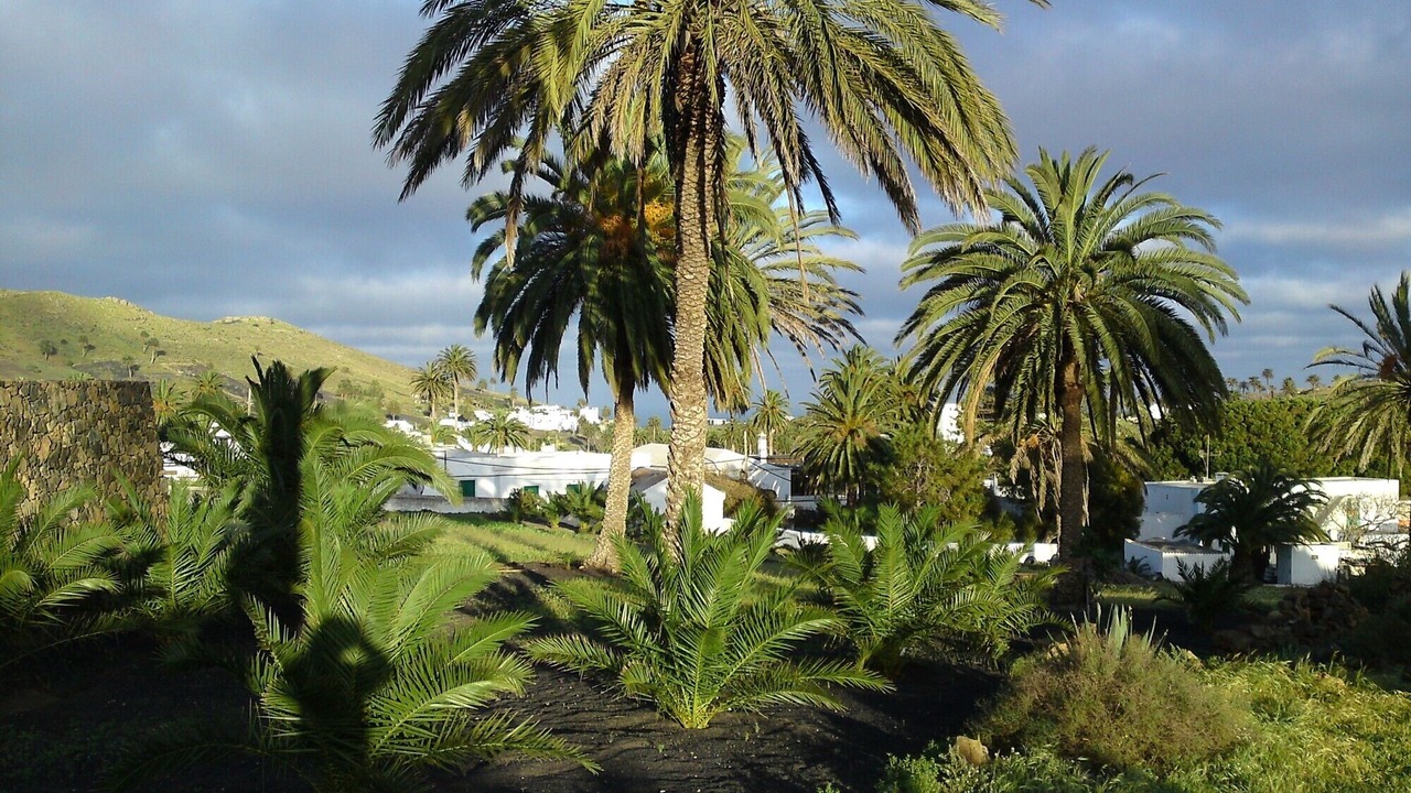 Photo of Outdoor in Punta Mujeres