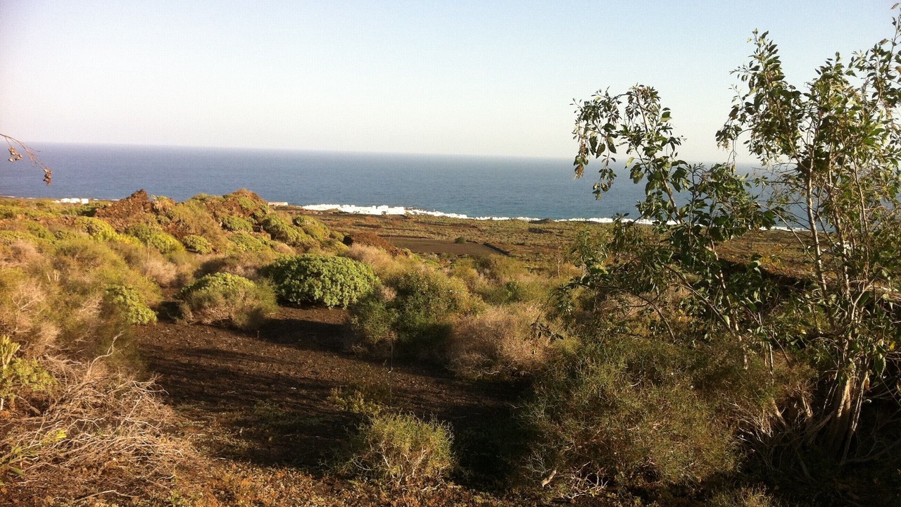 Photo of Outdoor in Punta Mujeres