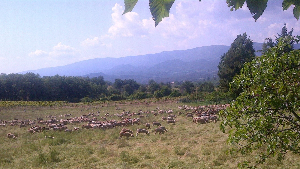 Photo of Outdoor in Grambois