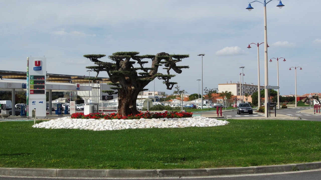 Photo of Outdoor in Port-la-Nouvelle
