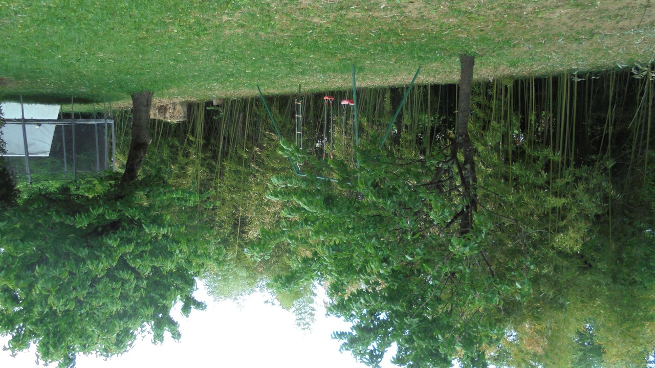 Photo of Outdoor in Frans