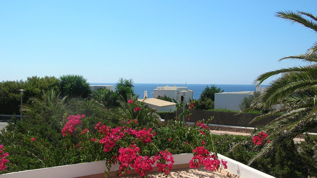 Photo of Others in Cala Serena