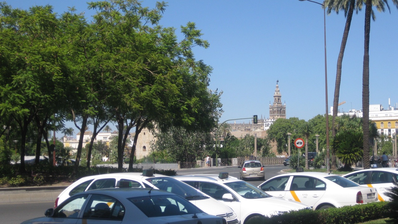 Photo of Others in Los Remedios