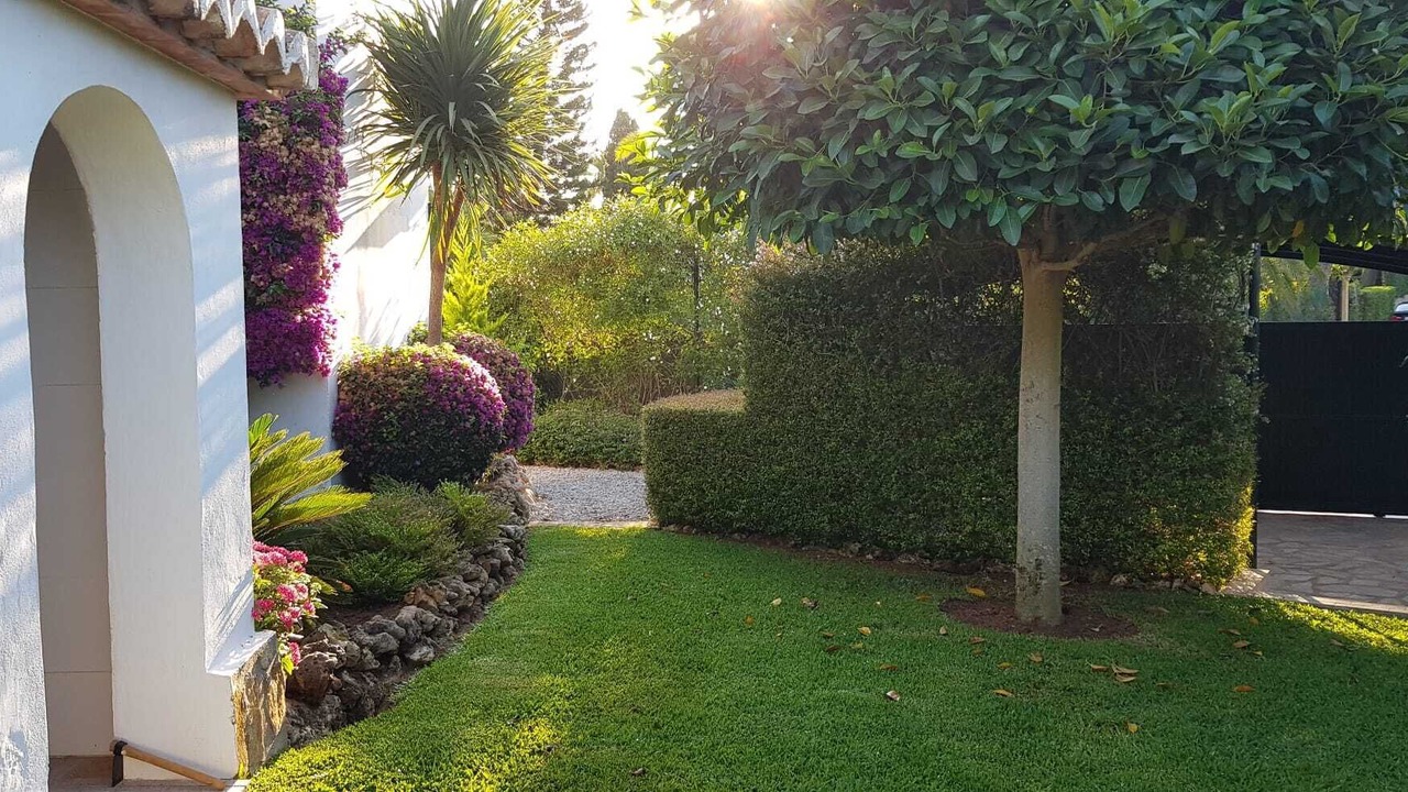 Photo of Outdoor in El Tosalet