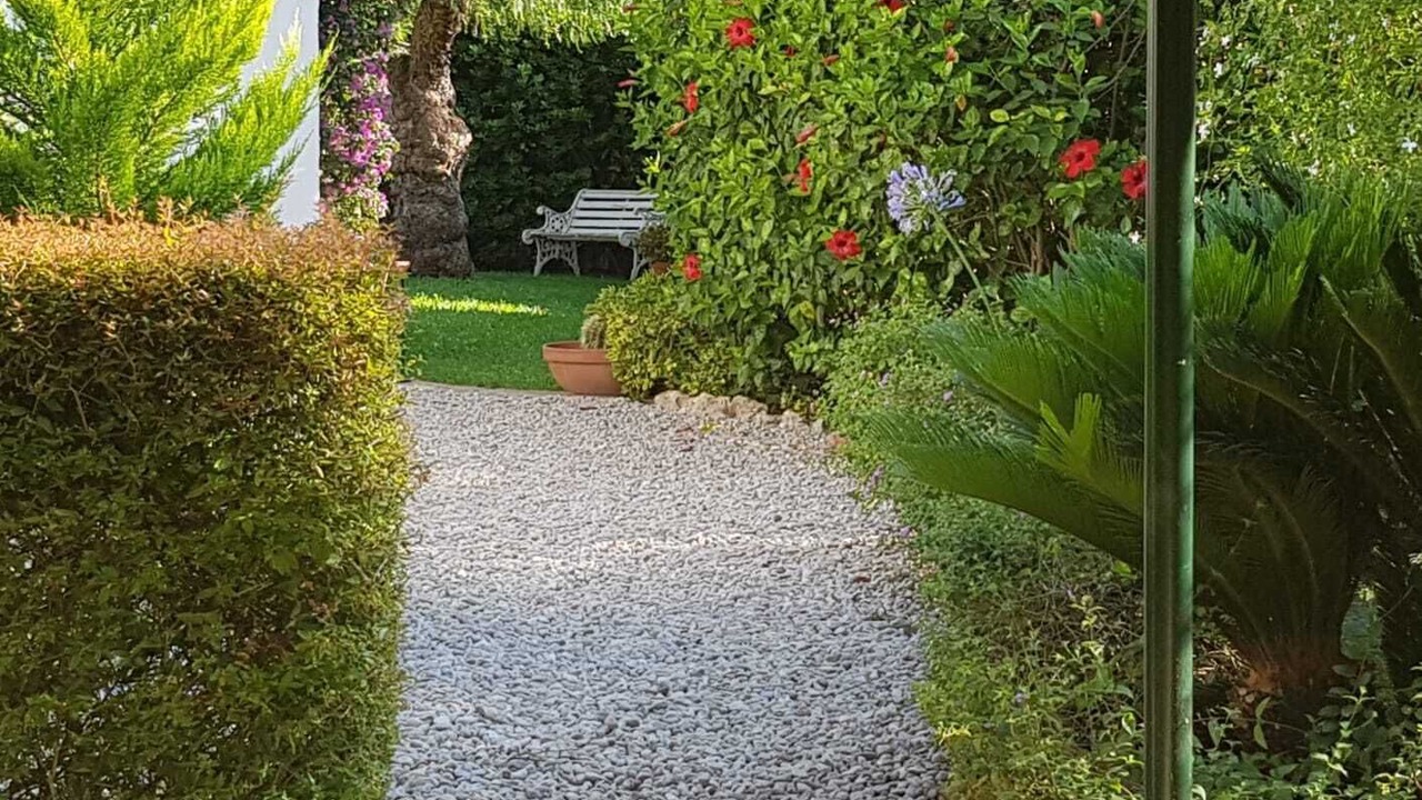 Photo of Outdoor in El Tosalet