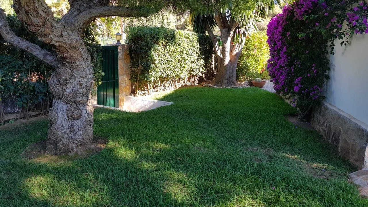 Photo of Outdoor in El Tosalet