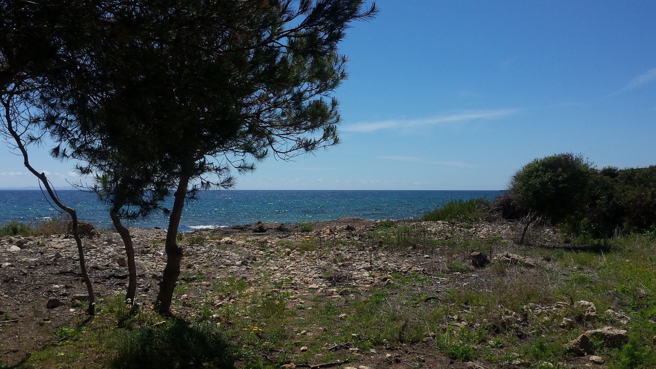 Photo of Others in L'Estanyol