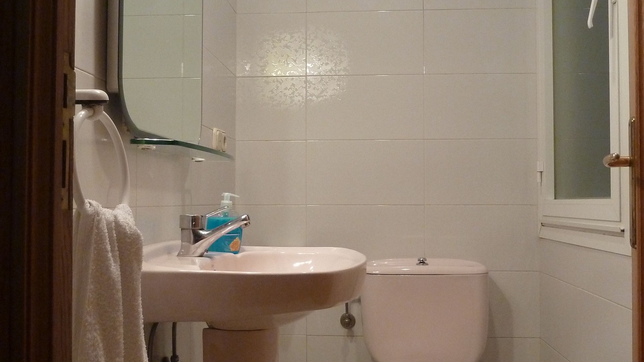 Photo of Bathroom in Gros