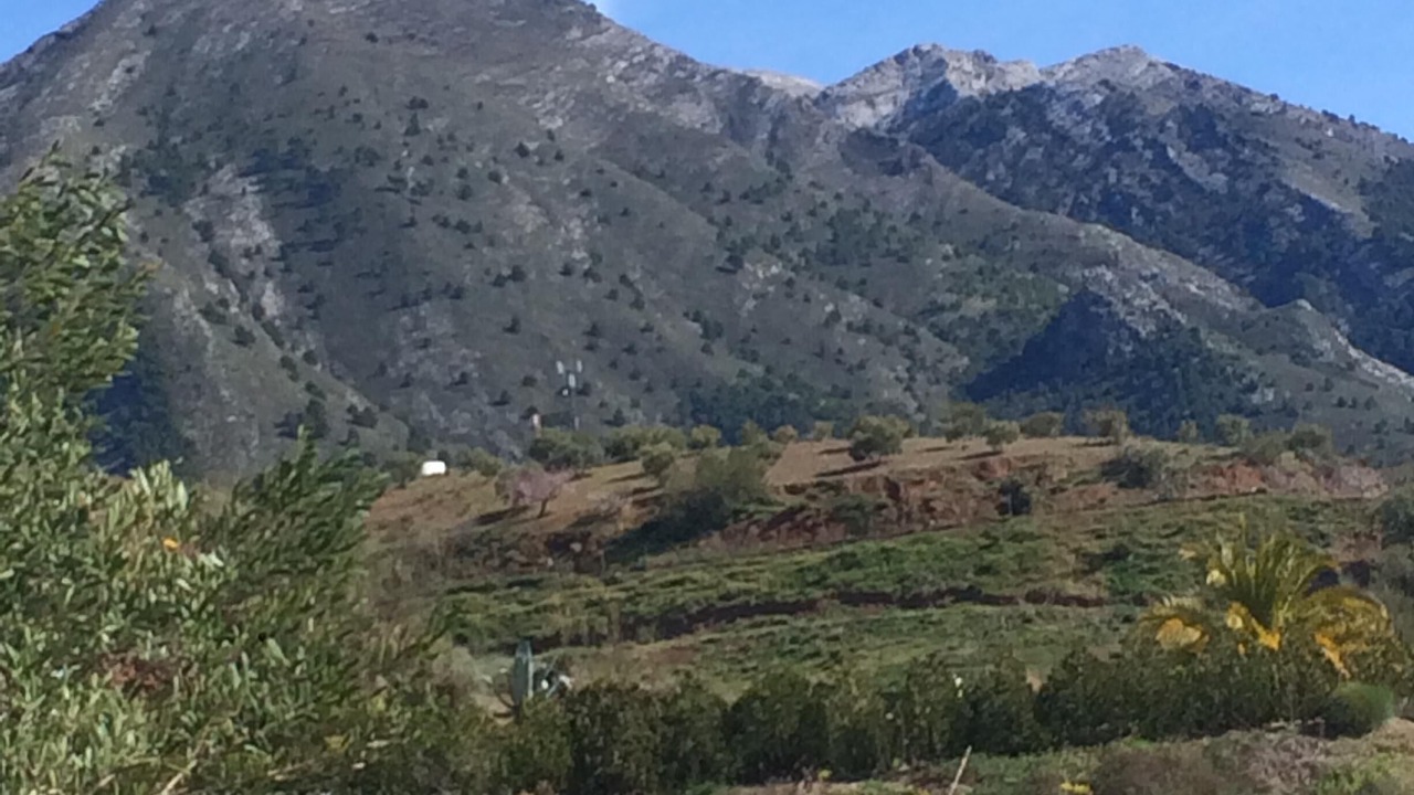 Photo of Outdoor in Canillas de Aceituno