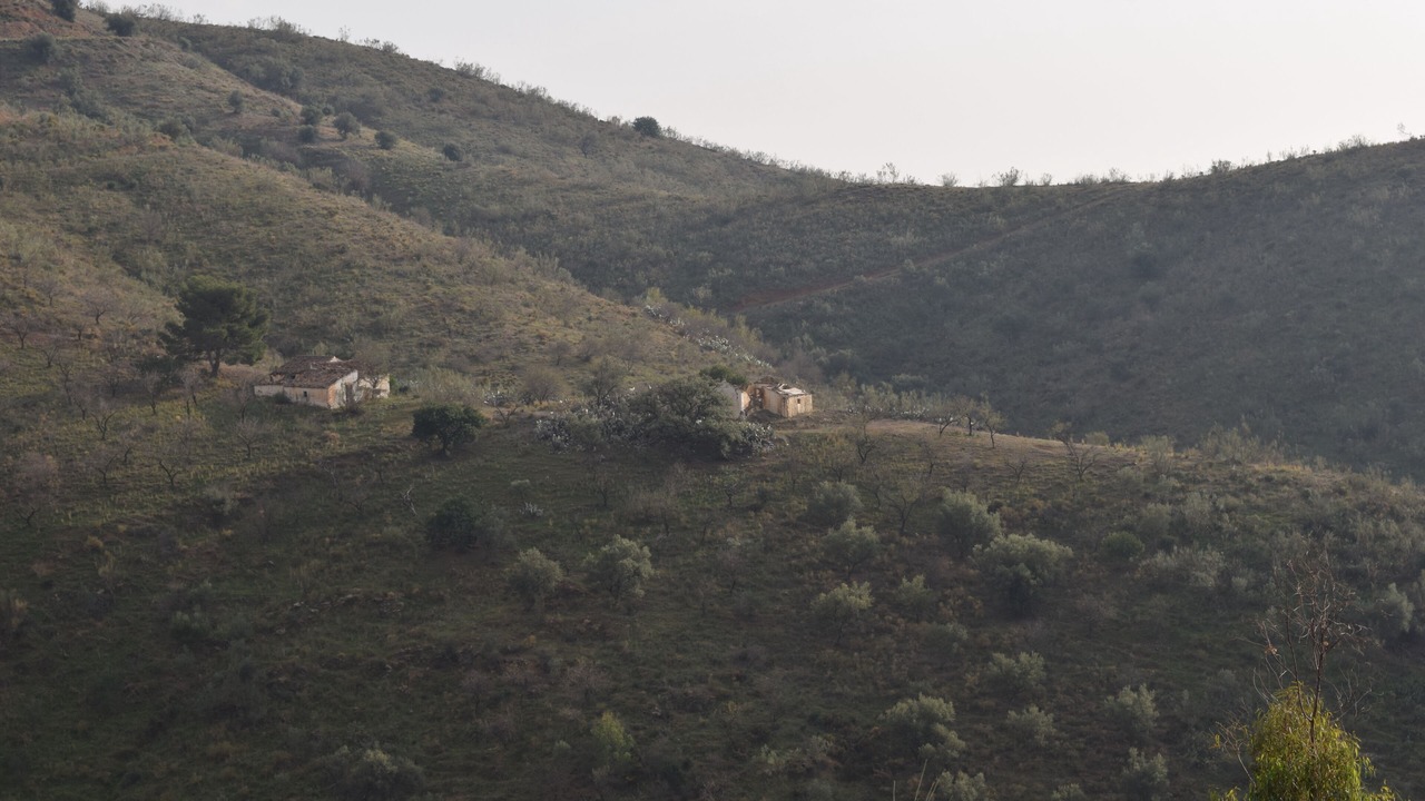 Photo of Outdoor in Canillas de Aceituno