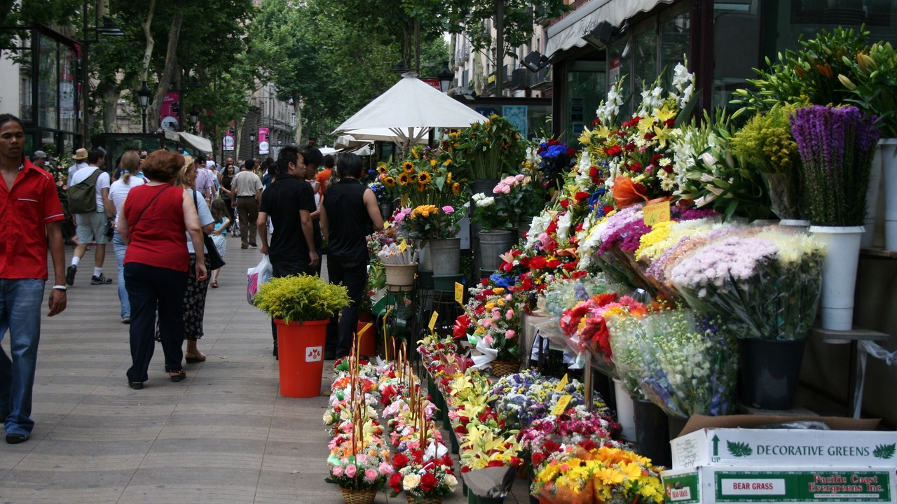 Photo of Outdoor in Sant Andreu