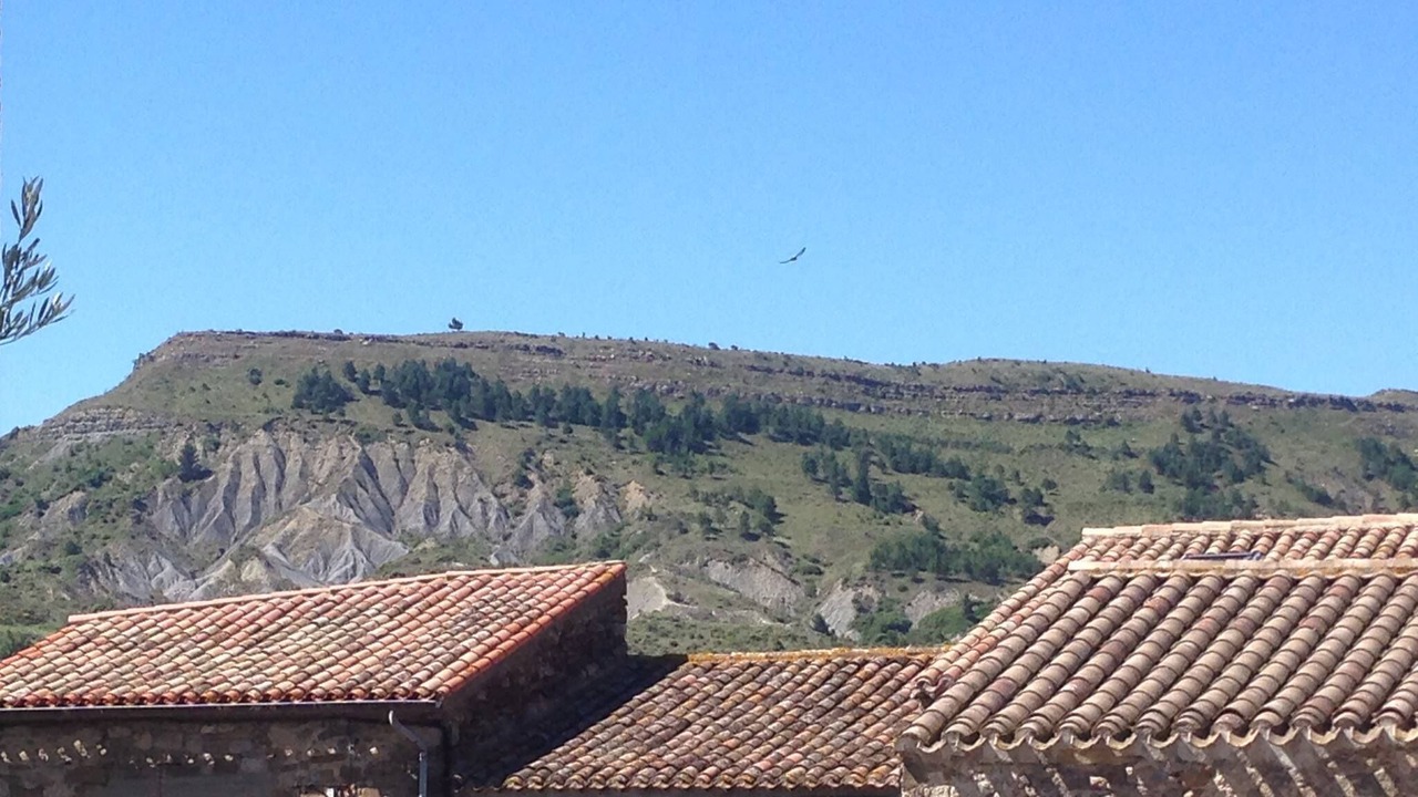 Photo of Outdoor in Pradelles-en-Val