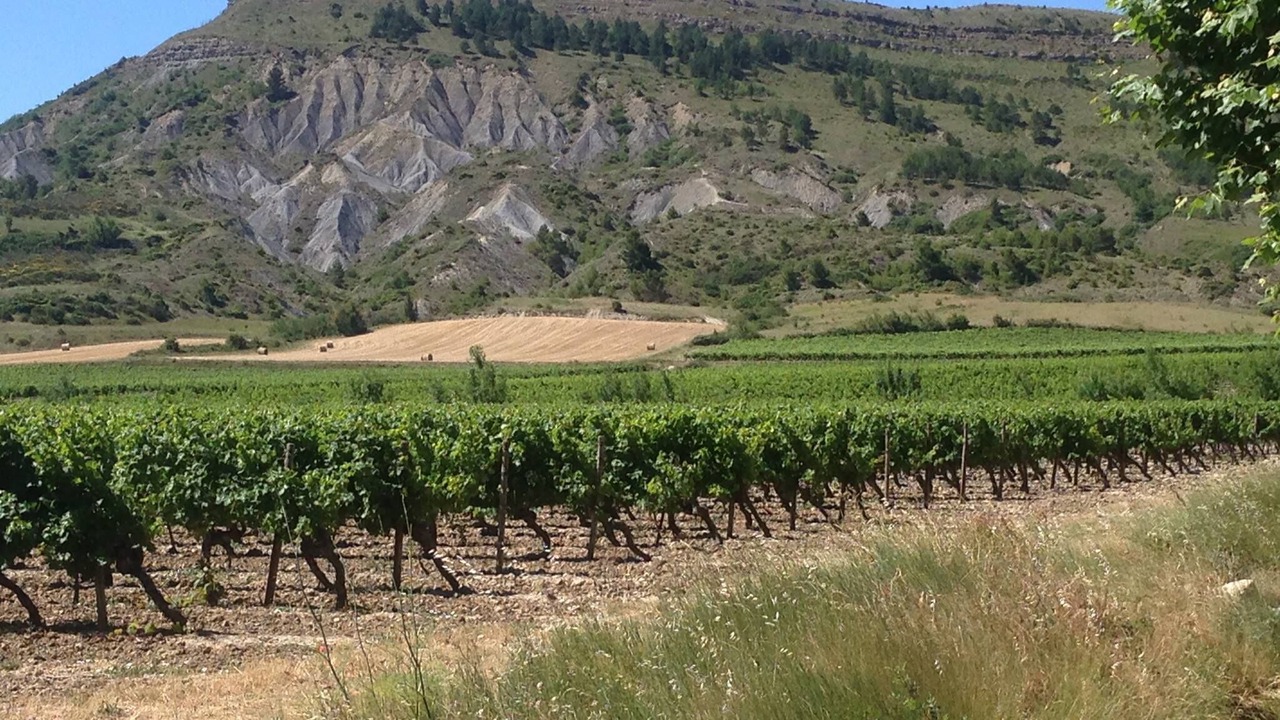 Photo of Outdoor in Pradelles-en-Val