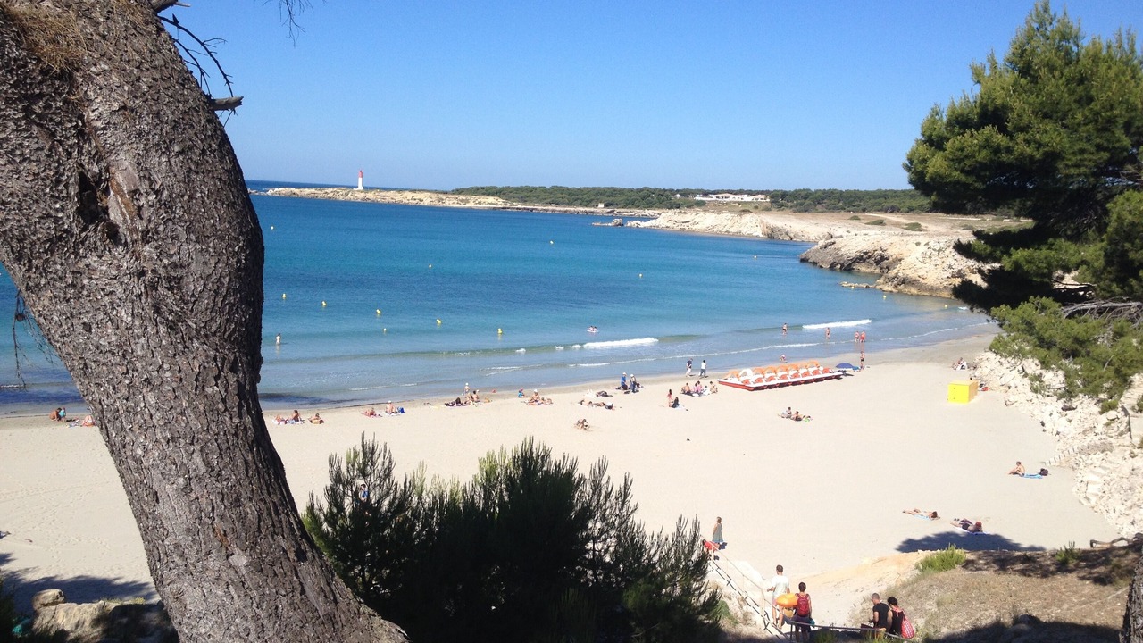Photo of Others in Martigues