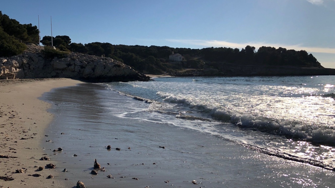 Photo of Others in Martigues