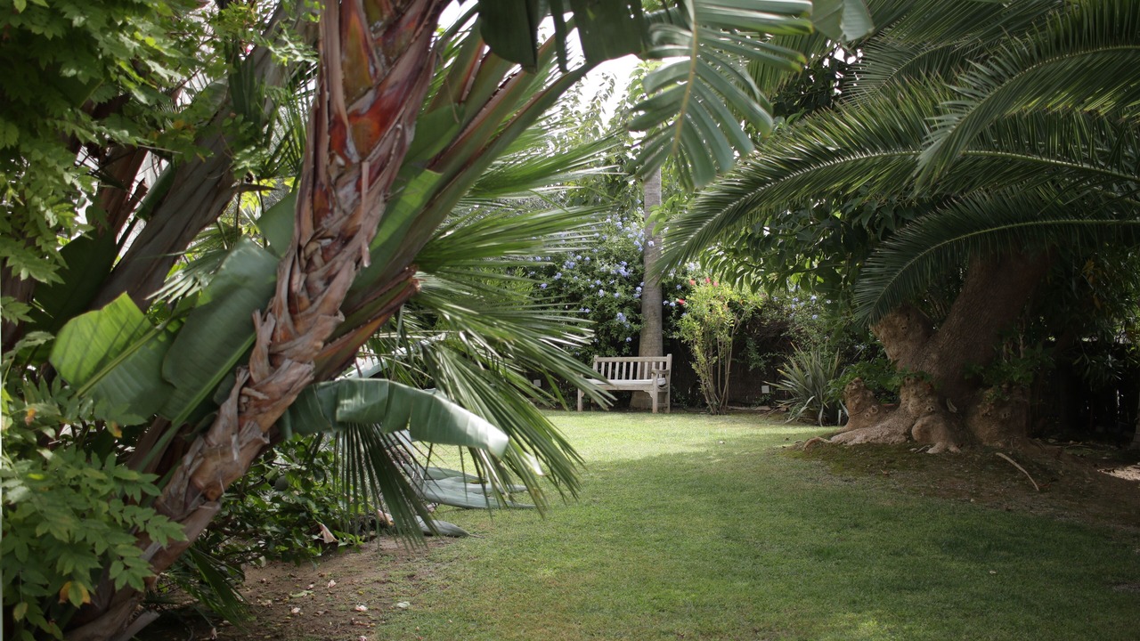 Photo of Outdoor in Passeig Maritim