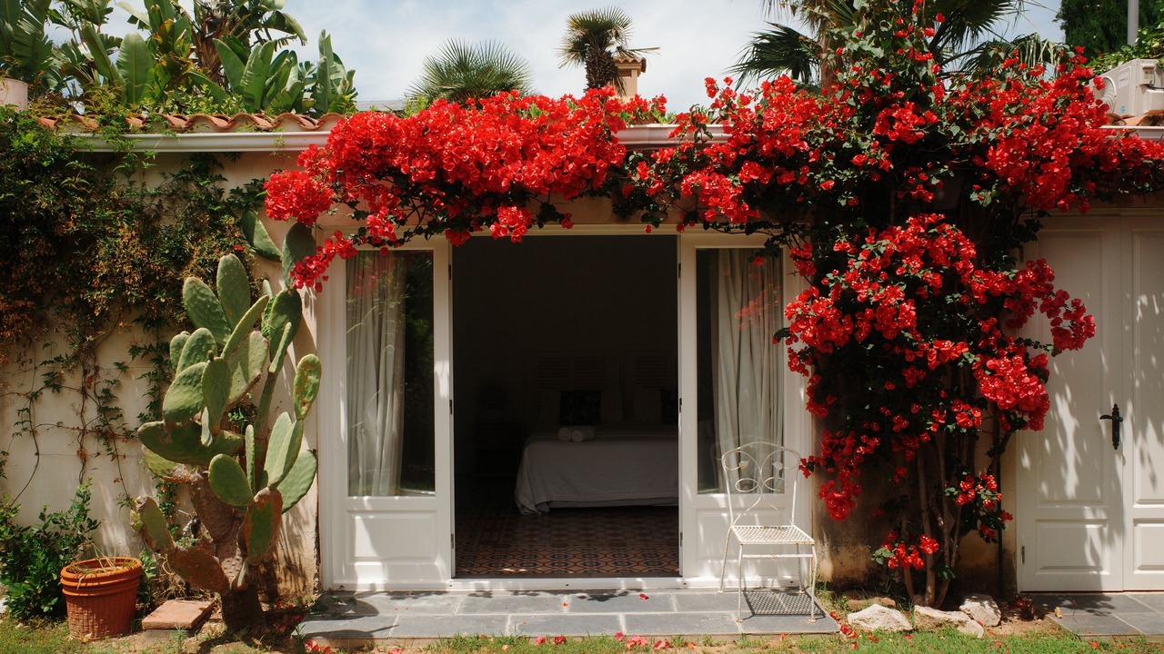 Photo of Outdoor in Passeig Maritim