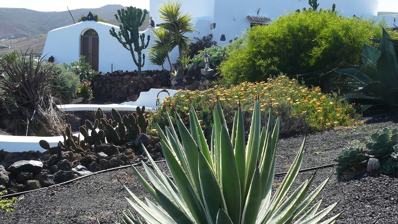 Photo of Outdoor in Haria
