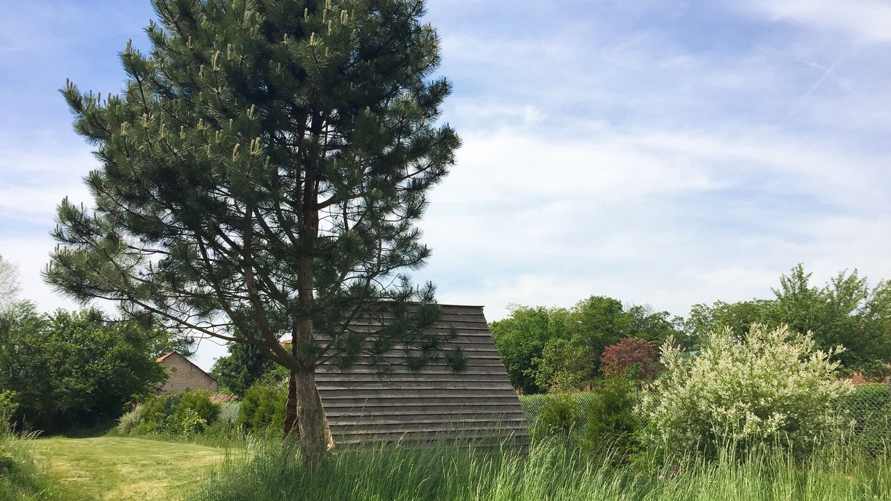 Photo of Outdoor in Lunow