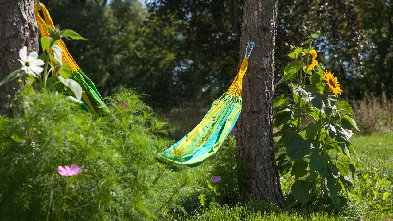 Photo of Outdoor in Lunow