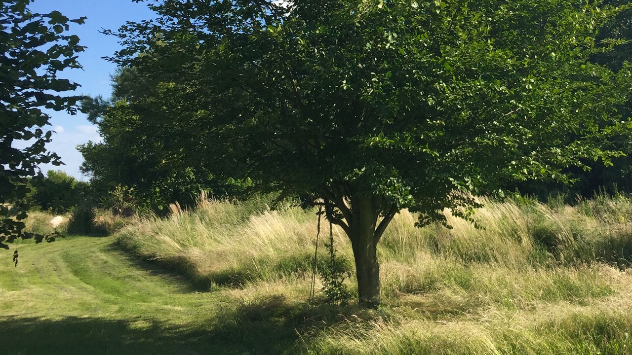 Photo of Outdoor in Lunow