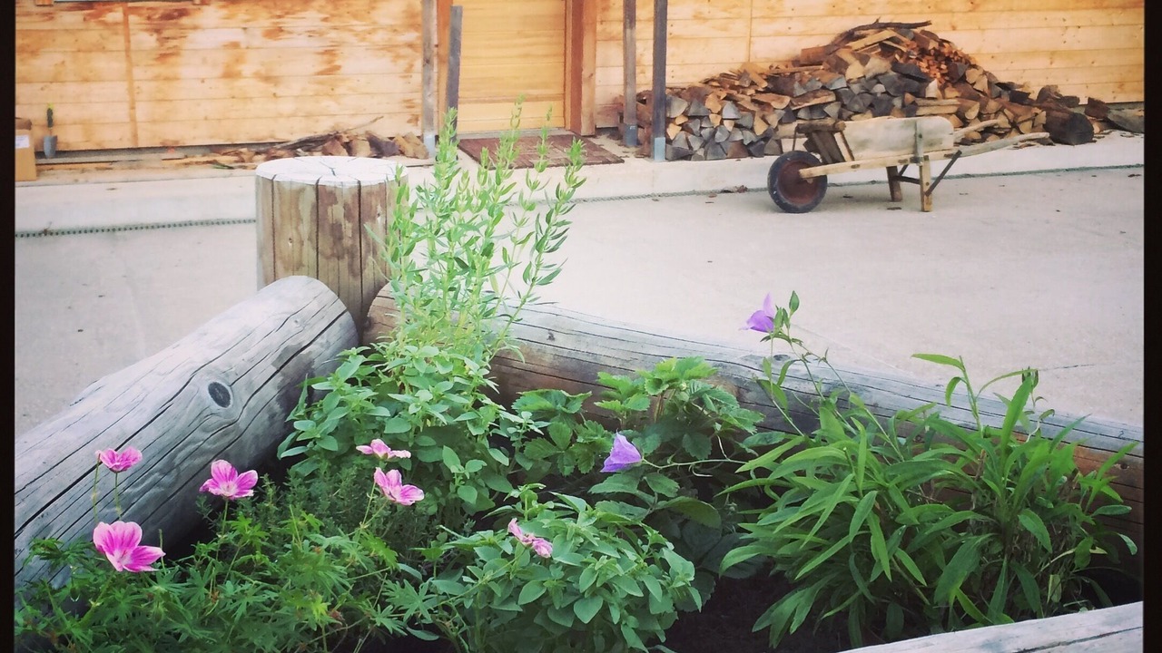 Photo of Outdoor in La Pesse
