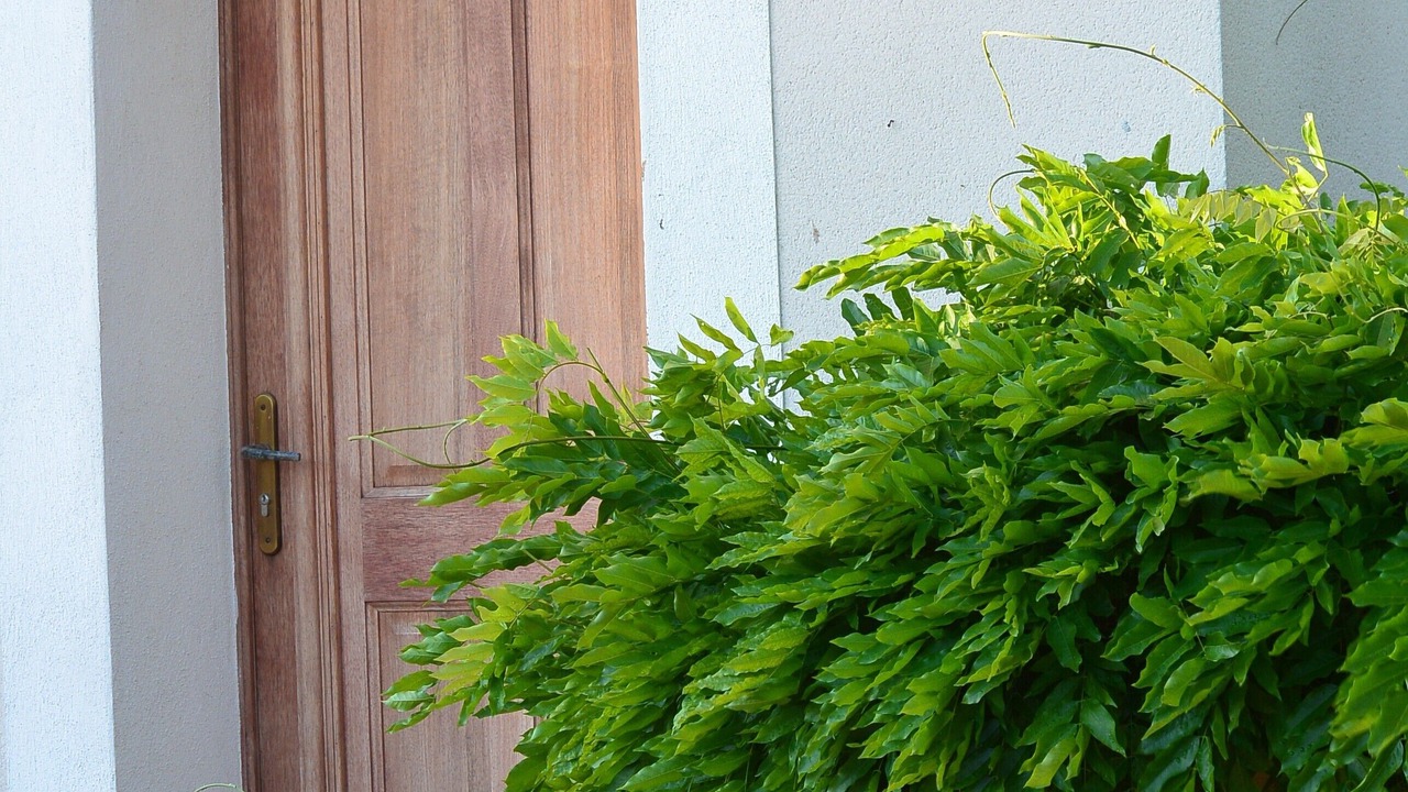 Photo of Outdoor in Ensues-la-Redonne