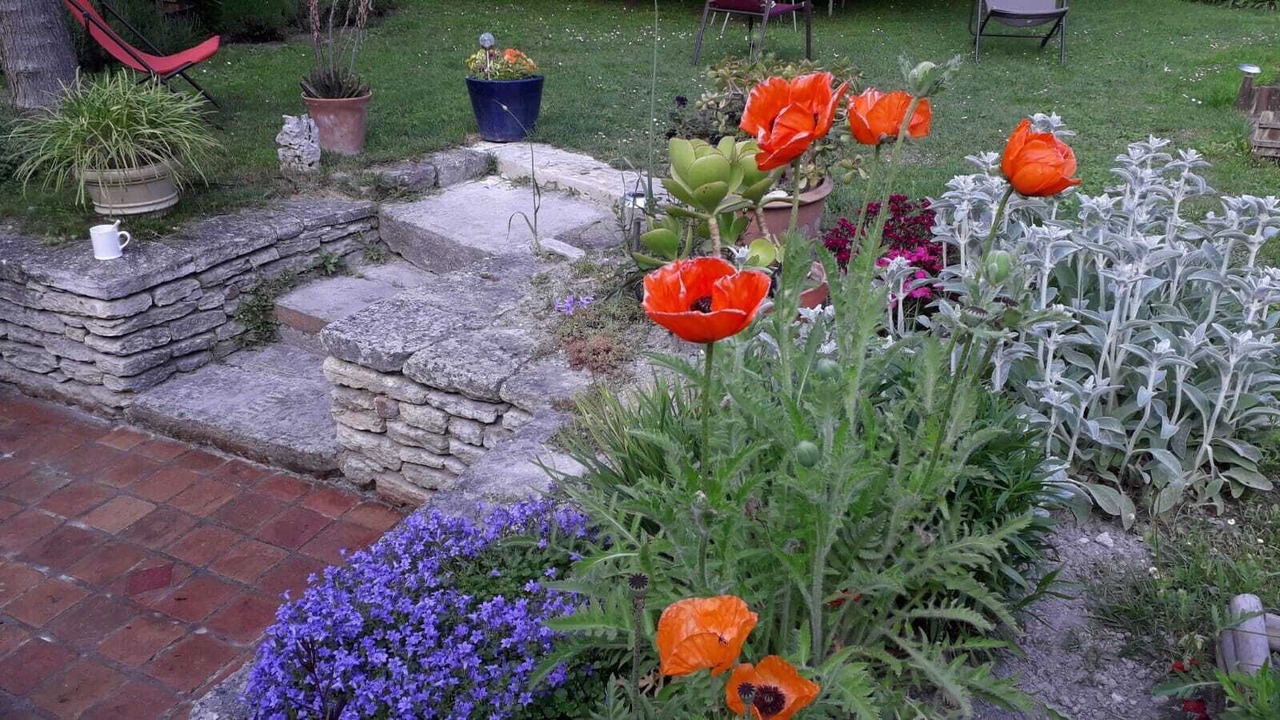 Photo of Outdoor in Uzes