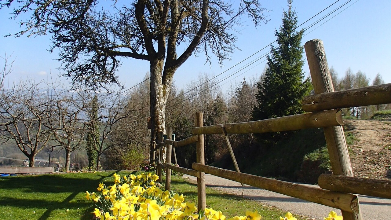 Photo of Outdoor in Moye
