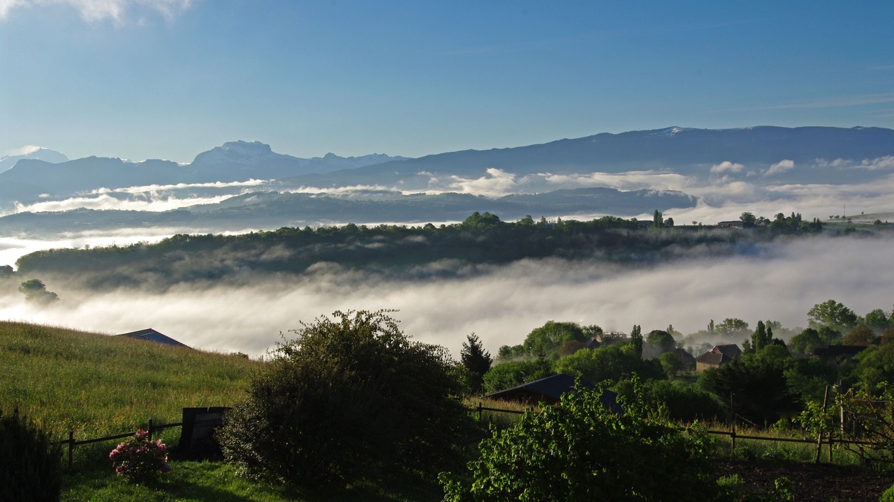 Photo of Outdoor in Moye