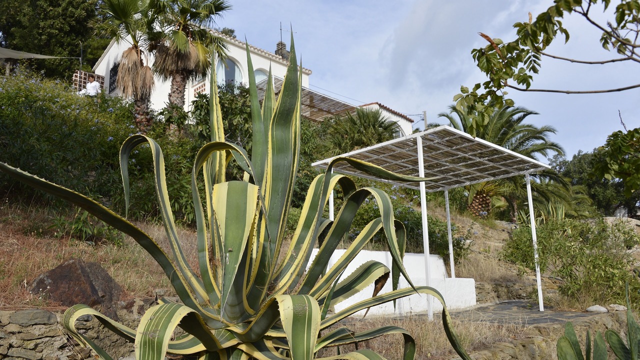 Photo of Outdoor in Beleser