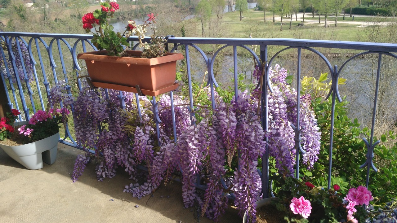 Photo of Outdoor in Tour-de-Faure
