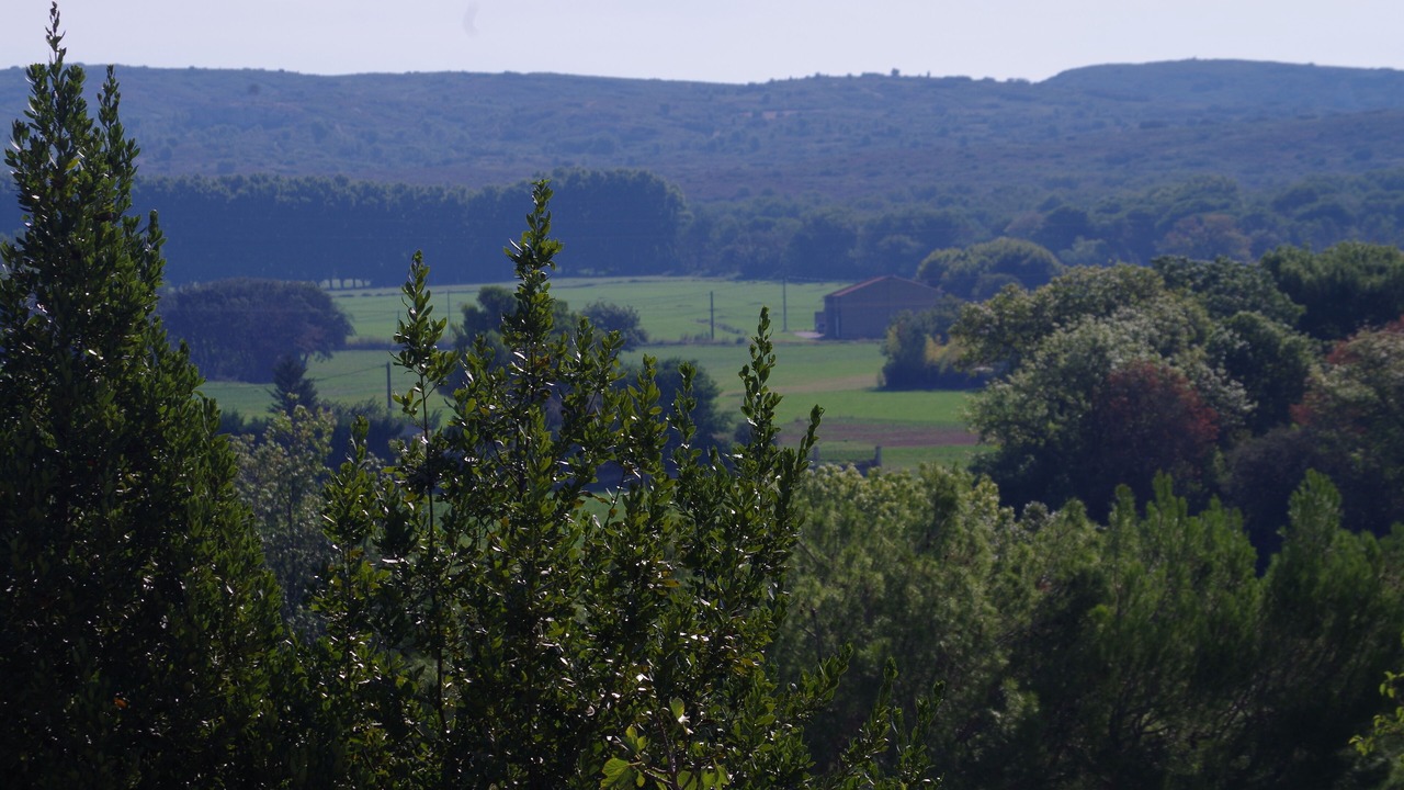 Photo of Others in Saint-Chamas