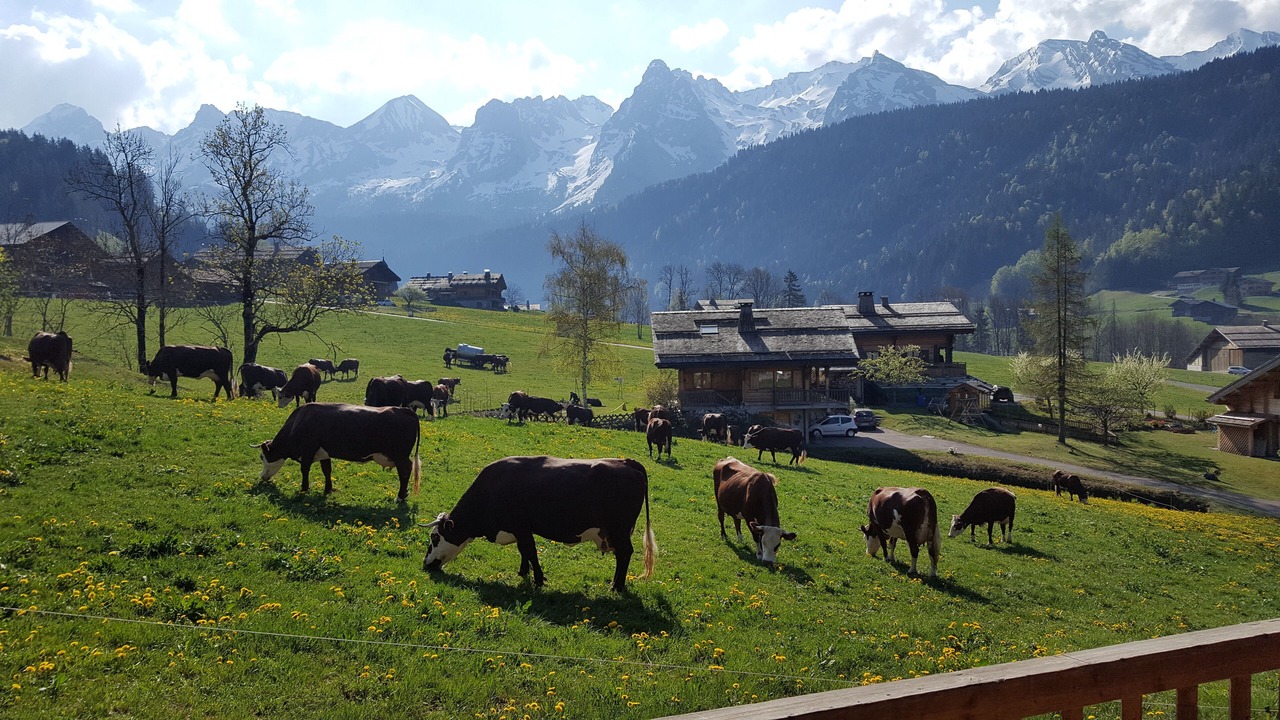 Photo of Outdoor in Le Grand-Bornand