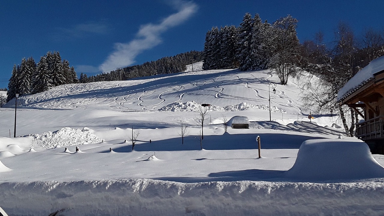 Photo of Others in Cohennoz