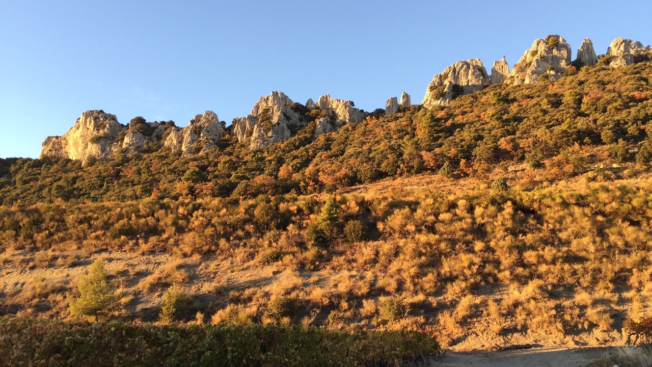 Photo of Others in Gigondas