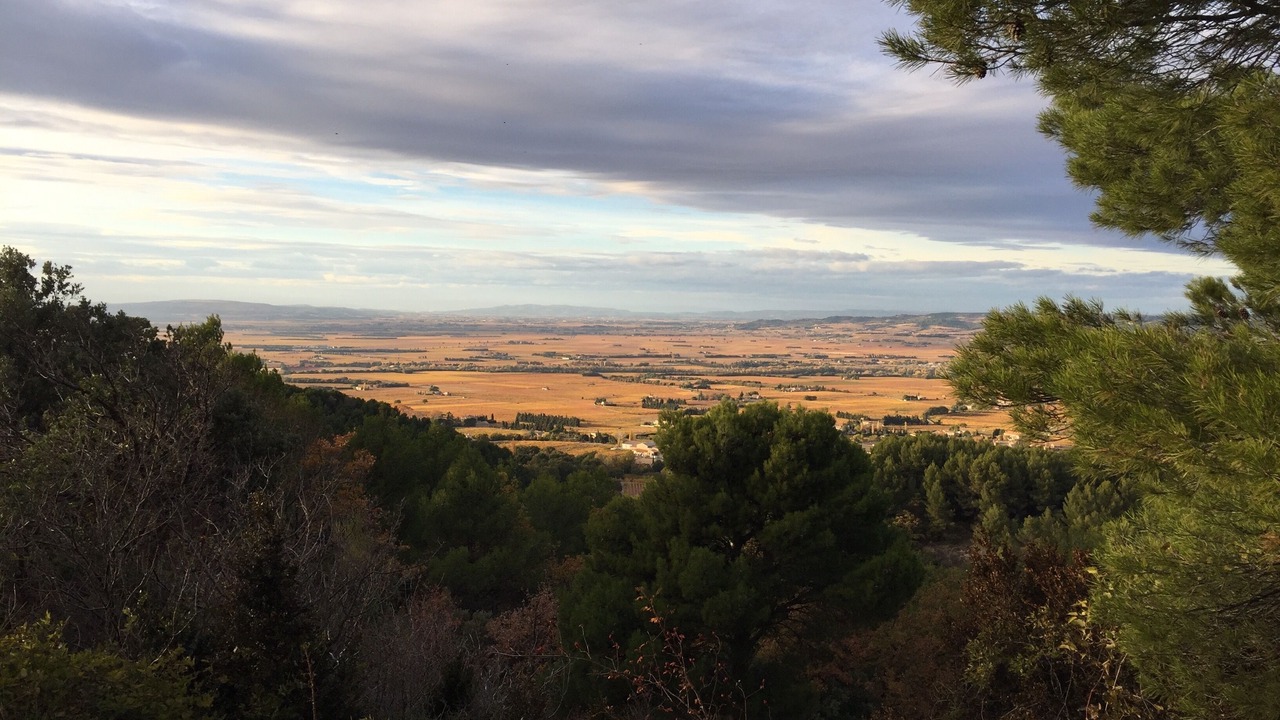 Photo of Others in Gigondas