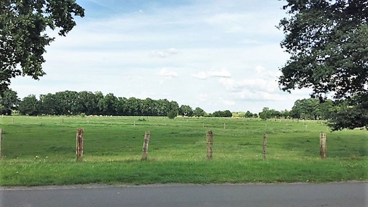 Photo of Others in Engehausen