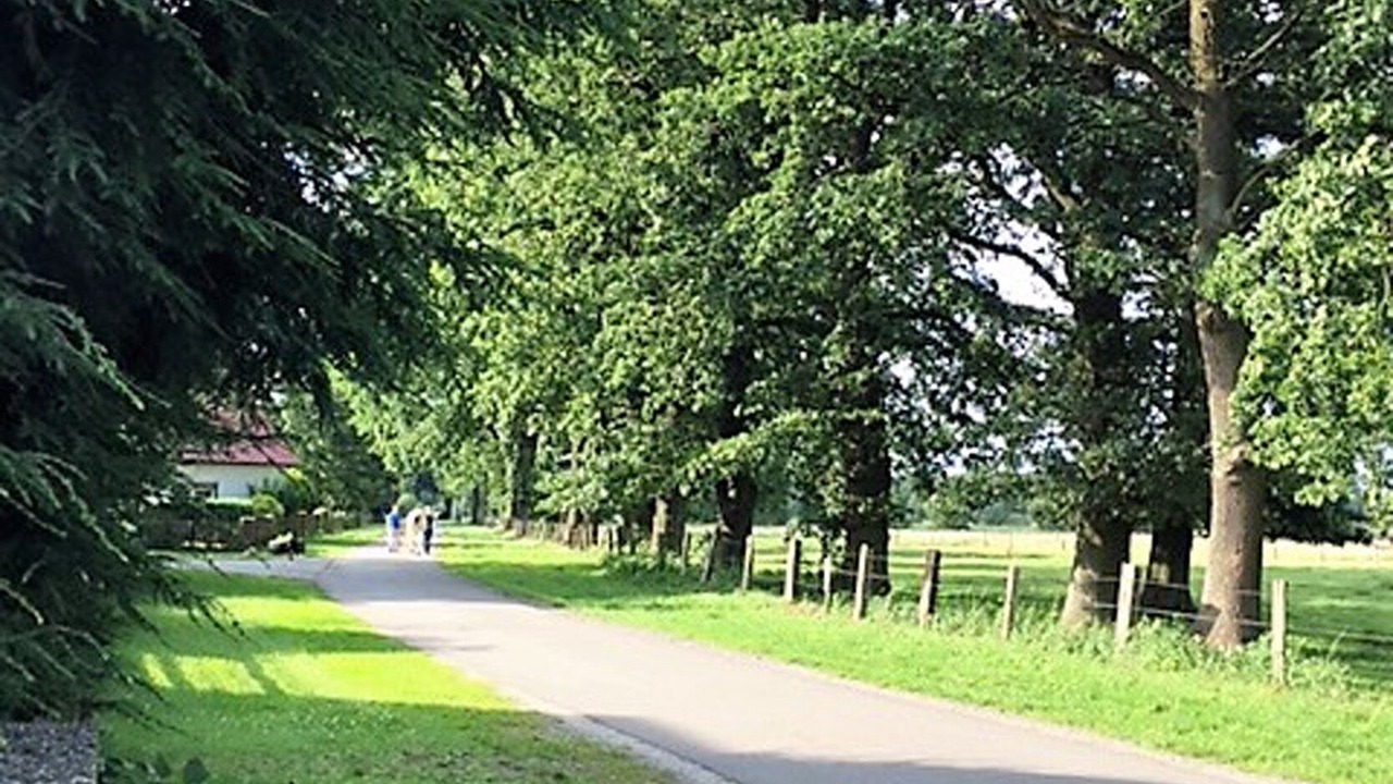 Photo of Others in Engehausen