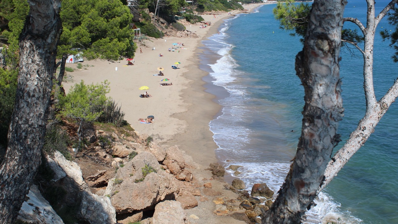 Photo of Others in Miami Platja
