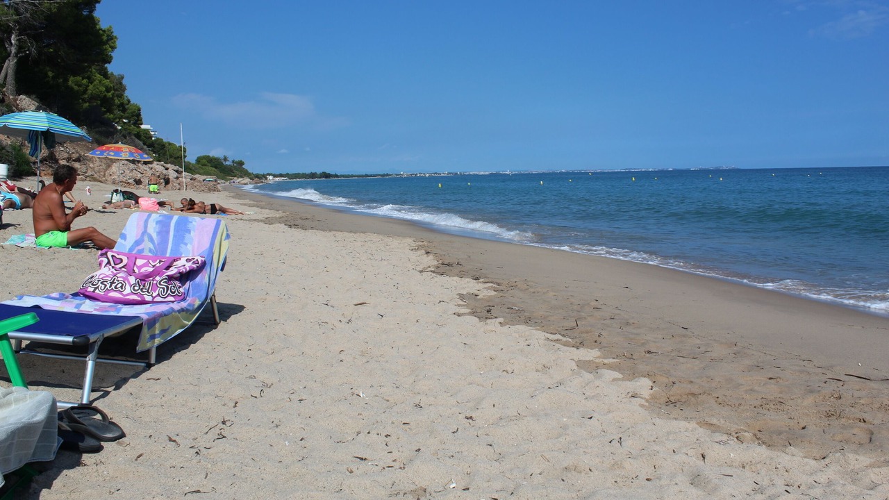 Photo of Others in Miami Platja