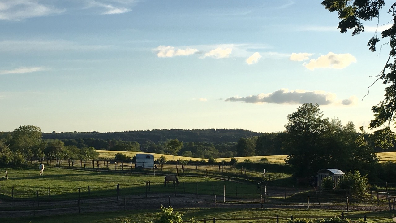 Photo of Outdoor in Schierensee
