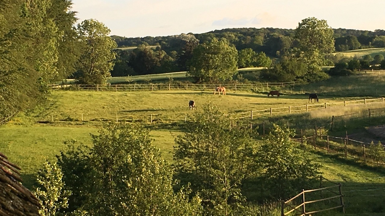 Photo of Outdoor in Schierensee