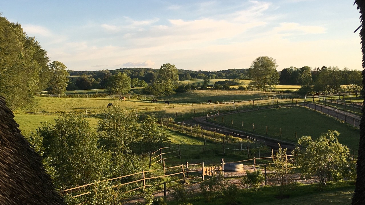 Photo of Outdoor in Schierensee