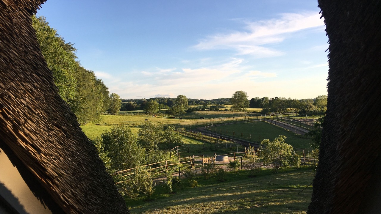 Photo of Others in Schierensee