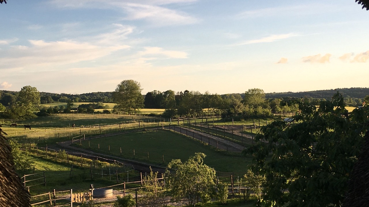 Photo of Outdoor in Schierensee