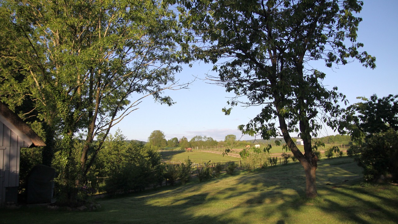 Photo of Outdoor in Schierensee
