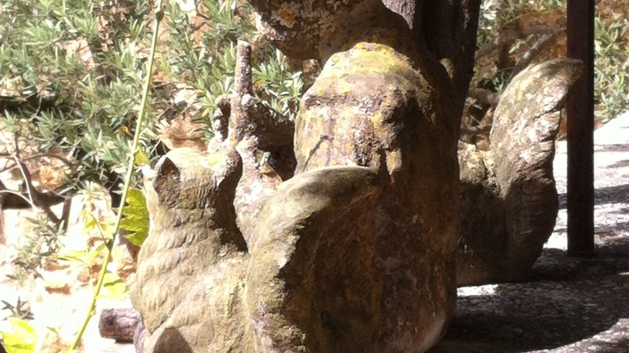 Photo of Outdoor in Le Barroux